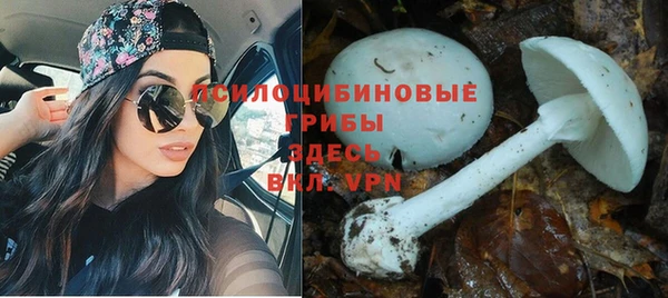 кокаин премиум Заволжск