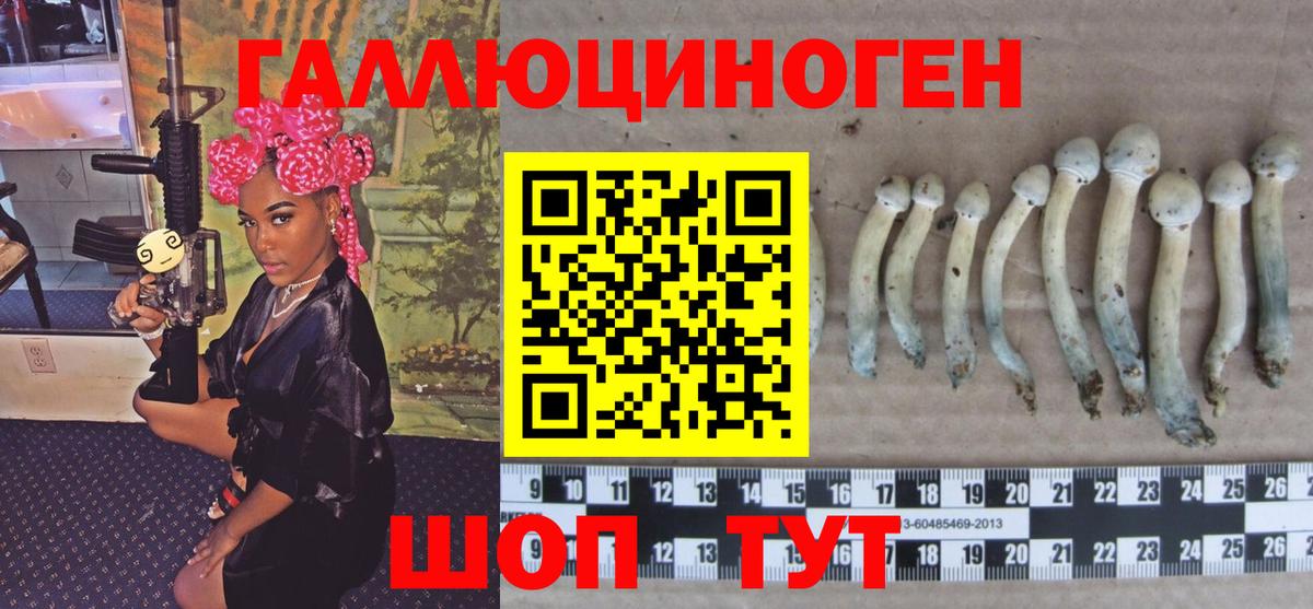купить наркотик  Галлюциногенные грибы Magic Shrooms  Вход с VPN  Саянск 