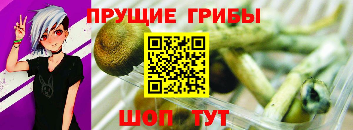 Галлюциногенные грибы мицелий Саянск
